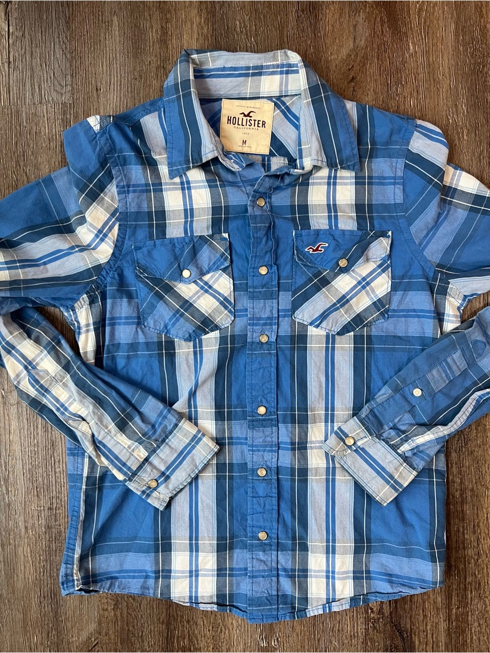 Y2K Hollister Men's Blue Plaid Button-Up Shirt